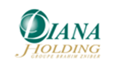 cabinet conseil logistique Diana Holding